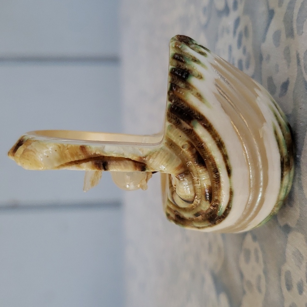 Carved Seashell with Rabbit - Picture 8 of 15